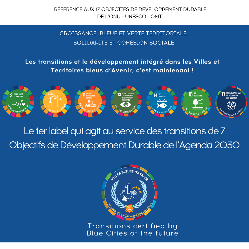 NEW CHARTE GRAPHIQUE ODYSSEA VILLES BLEUES copie 12 (1)